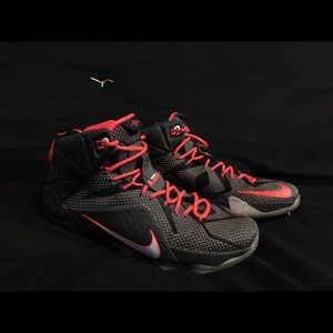 Lebron 12’s size 12